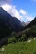 borovica limbová ako vysokohorský krajinný prvok (Malá Studená dolina)